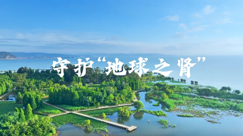 守护“地球之肾” | 第30个世界湿地日