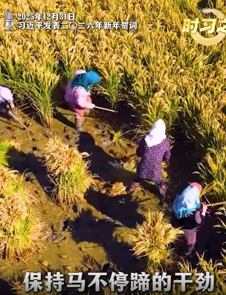 重温总书记的新年祝福 汲取奋进力量